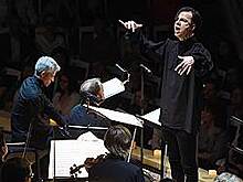 Сильнодействующее упокоительное