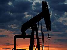 Без нефти все равно не обойтись, или Споры о зеленой энергетике