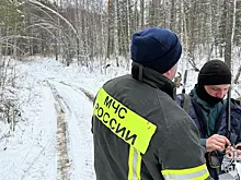 Пропавшую семью Усольцевых могут признать умершей до весны 2026 года