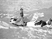 Ганс с отмороженными ушами