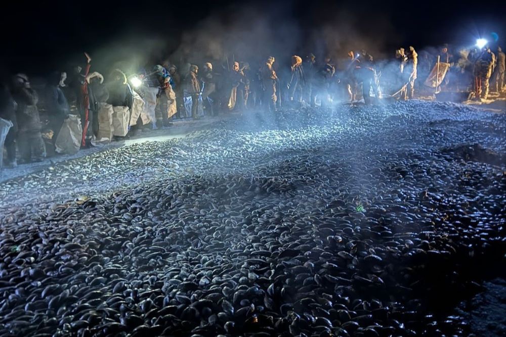 В Якутии на большой мунхе выловили 10 тонн карасей и раздали всем желающим