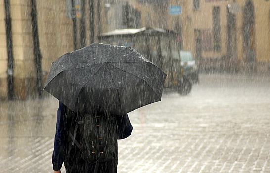 Синоптики предупредили Москву о неделе дождей