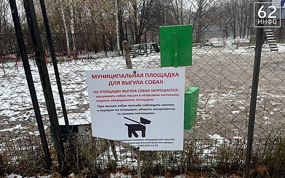 Из-под растаявшего в Рязани снега появилось ОНО
