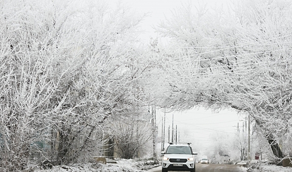 Лютый мороз до -35 градусов ударит по Волгоградской области ночью 5 февраля