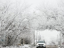 Лютый мороз до -35 градусов ударит по Волгоградской области ночью 5 февраля