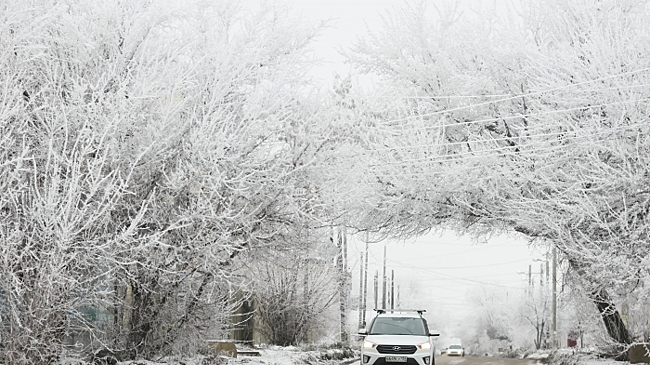 Лютый мороз до -35 градусов ударит по Волгоградской области ночью 5 февраля