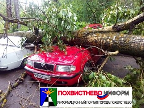 «Лайфхак» от автолюбителей Самары: поставь машину под дерево накануне урагана, получи деньги от мэри