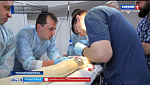 Нижегородские хирурги успешно провели кесарево сечение питону Альбине