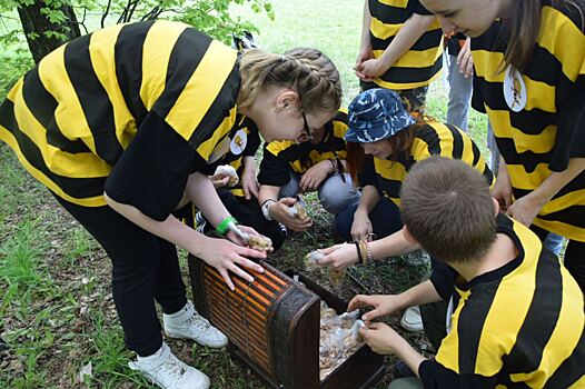 Зюзинские «Дикие пчёлы» побывали на туристическом слете