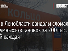 Фото: в Ленобласти вандалы сломали пять «умных» остановок за 200 тыс. рублей каждая
