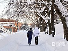 В Москве и Подмосковье выпал первый снег