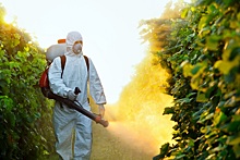 Российским регистраторам пестицидов повысили цены на услуги