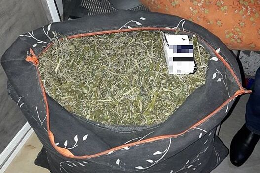 У жителя Темрюка нашли 300 граммов марихуаны