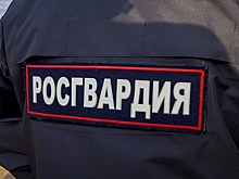 В Пензе росгвардейцы задержали нарушителя правопорядка