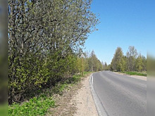 «Не фартануло при развороте»: фура перекрыла дорогу под Северодвинском