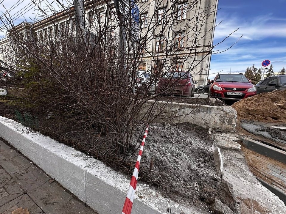 Рабочие во время ремонта тротуара забетонировали кусты роз в центре Кирова