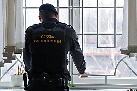 В России депутат попал к психиатрам после стычки с приставами из-за своего Lexus