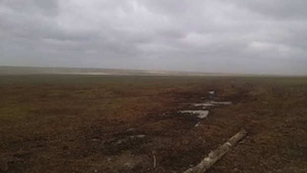 Ямальский школьник шел по тундре 12 часов и преодолел 50 километров ради «Артека»