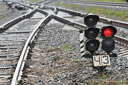 Грузовой поезд совершил вынужденную остановку под Рязанью