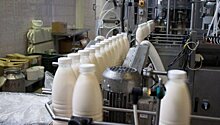 РФ может разрешить поставки с двух молочных предприятий Белоруссии
