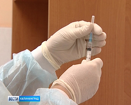 В конце августа в Калининградской области стартует масштабная вакцинация против гриппа