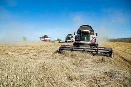 Кузбасские аграрии собрали более 1 лн тонн зерновых и зернобобовых культур