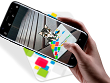 Дополненная реальность пришла в индустрию товаров для животных