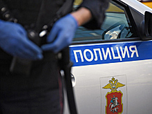 Подозреваемые в расчленении и сожжении двоих человек в Москве задержаны