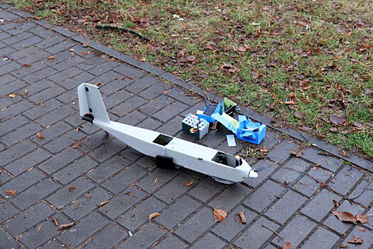 Белорусские спецслужбы установили оператора залетевшего из Литвы БПЛА