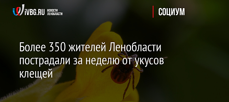 Симоньян заявила о цинизме Киева после удара по Токмаку Запорожской области, где пострадали дети
