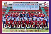Стал известен потенциальный спонсор футбольного клуба "Мордовия"