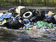 В Пангодах ликвидируют несанкционированные свалки