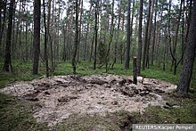 Власти Польши оказались в кризисе из-за скандала с падением в лесу крылатой ракеты