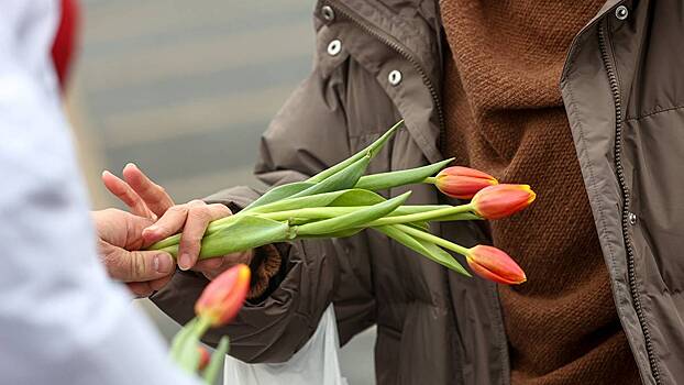 Столичный бизнес помог украсить площадки фестиваля «Сады и цветы»