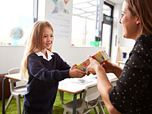 В Совфеде предложили закрепить законом «подарок в знак признательности» учителю