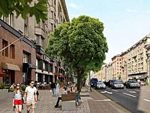 Пять вопросов «Моей улице»