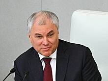 Володин анонсировал рассмотрение вопроса об онлайн-обучении медиков в России