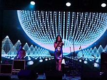 Член жюри конкурса «Открытая сцена»: Финалисты выступят на сцене Тульского кремля