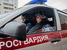 В Пензе задержан мужчина, подозреваемый в совершении грабежа