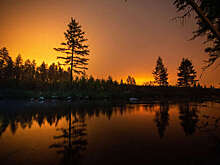 Лесной пожар под Ростовом распространился на 100 га