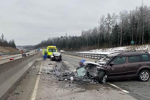 ДТП с тремя погибшими на М-11 произошло из-за странного поведения водителя Opel