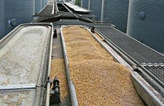 В Укразализныце рассказали, сколько готовы перевозить зерна