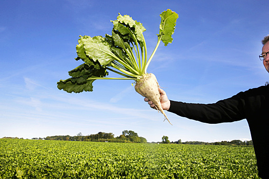 Новое, хорошо известное!