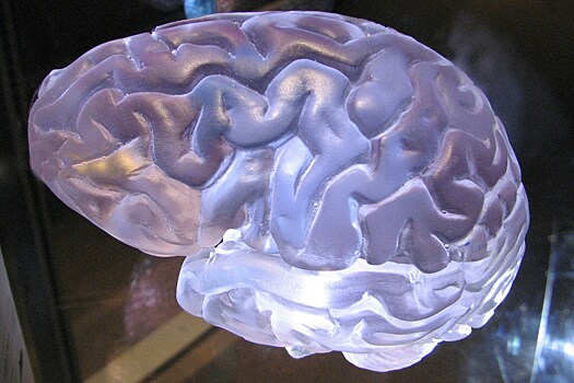 Ученые разработали математическую функцию для диагностики болезней мозга