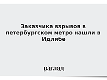 Заказчика взрывов в петербургском метро нашли в Идлибе