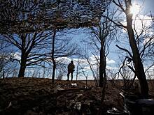 В Минобороны сообщили об атаке ВСУ на российские объекты британскими ракетами Storm Shadow