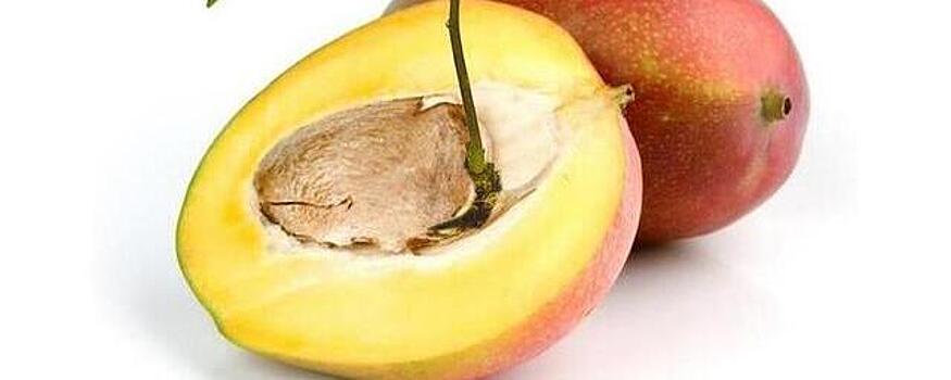 Как вырастить манго в домашних условиях из косточки