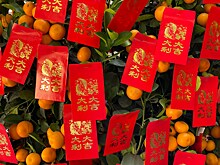 Праздничные традиции китайского Нового года