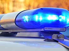 В пригороде Санкт-Петербурге найден скелет ребенка