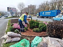 За год во Владивостоке появилось более 11 тысяч многолетних растений